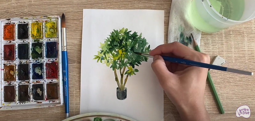 Рисуем Бересклет