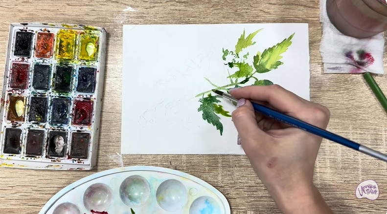 Рисуем Таволга