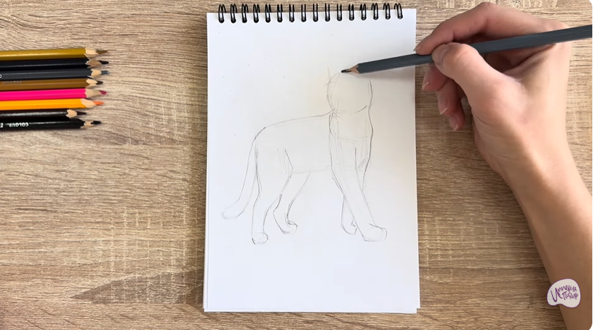 Рисуем Кошка Бурмилла