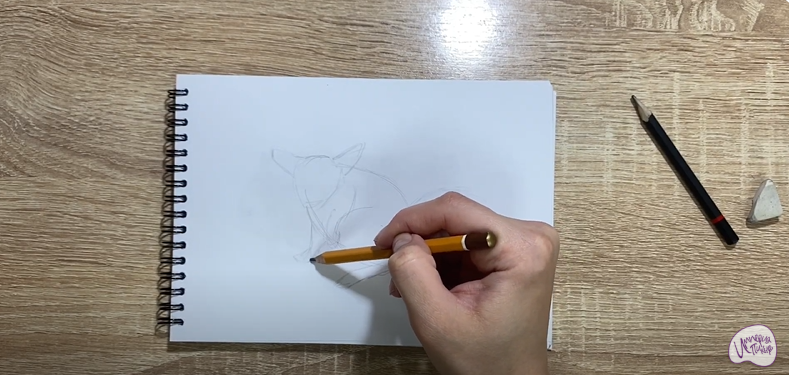 Рисуем Галаго