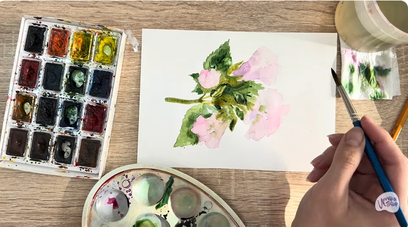 Рисуем Алтей лекарственный