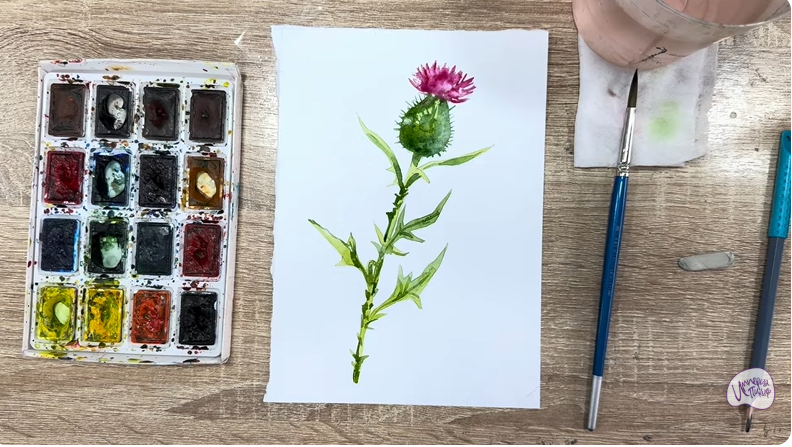 Рисуем Бодяк