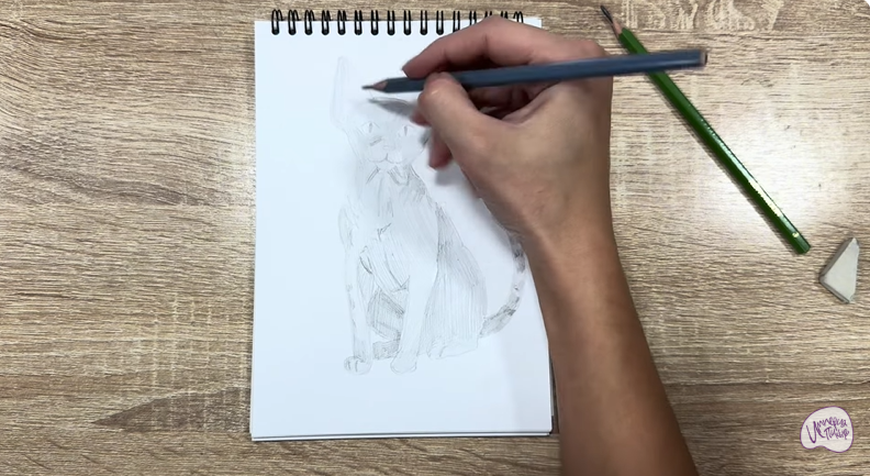 Рисуем Девон Рекс