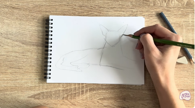 Рисуем Ориентальная кошка