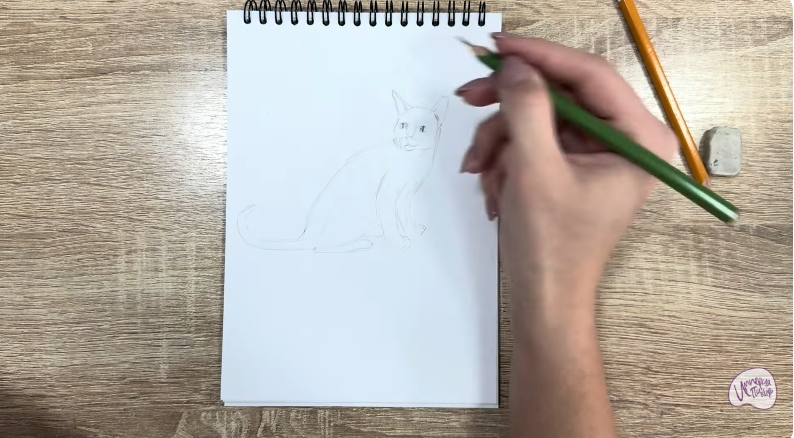 Рисуем Кот породы "Корат"