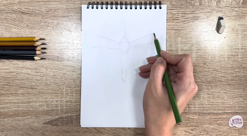 Рисуем Огнёвка зерновая