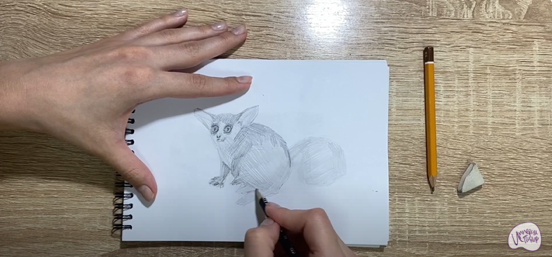 Рисуем Галаго