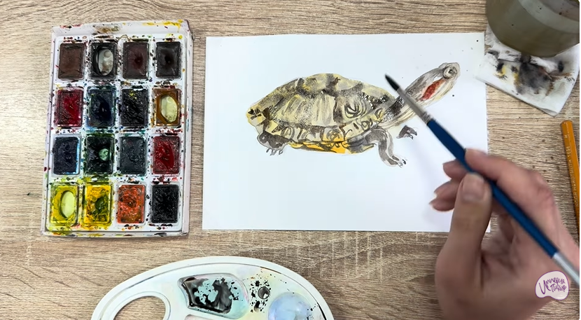 Рисуем Красноухая черепаха