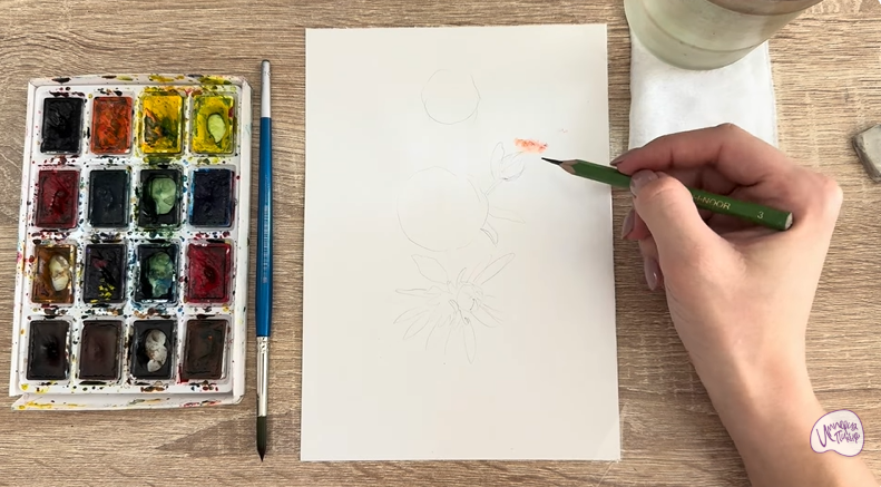 Рисуем Лапчатка