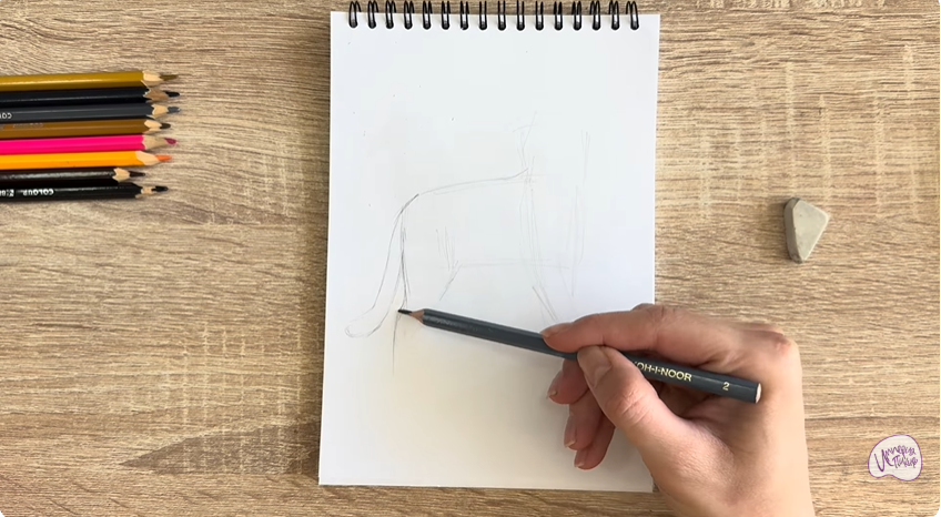 Рисуем Кошка Бурмилла