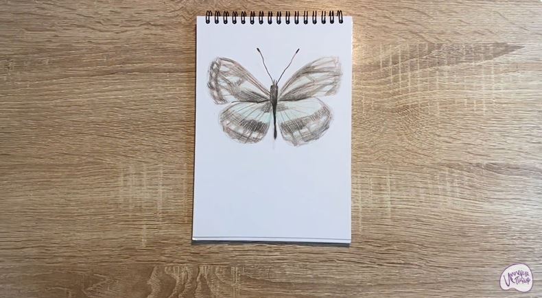 Рисуем Пеструшка Сапфо