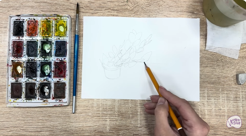 Рисуем Пеллиония в горшке