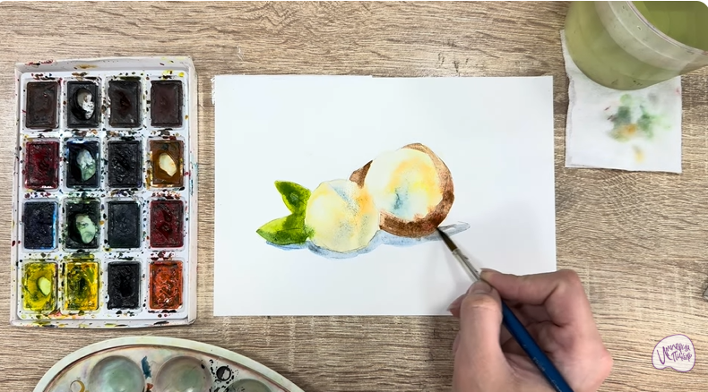 Рисуем Макадамия