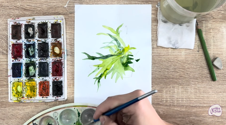 Рисуем Платицериум в горшке