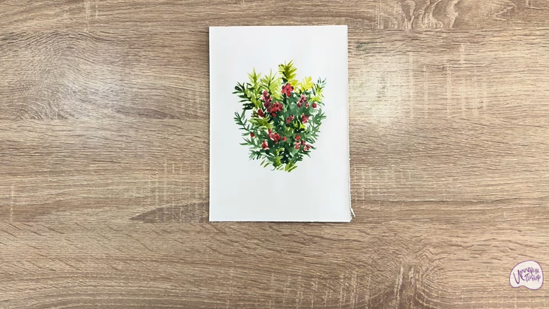 Рисуем Тис ягодный