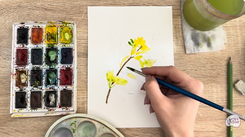 Рисуем Ветка караганы