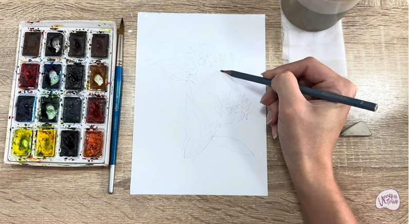 Рисуем Диервилла