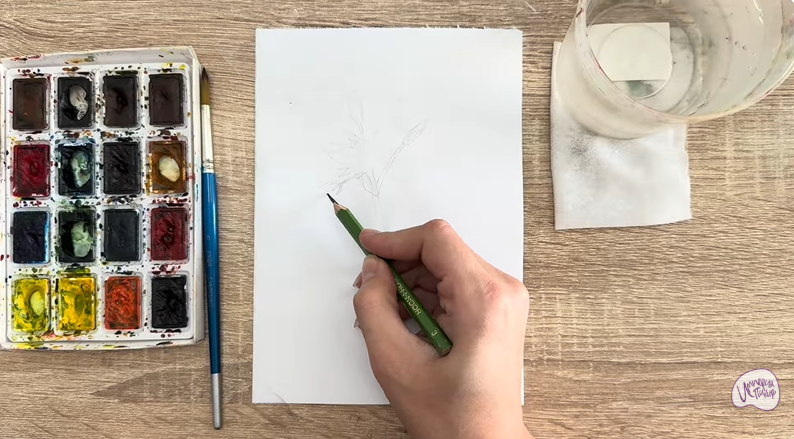 Рисуем Ясколка длинноволосая