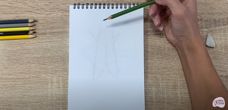 Рисуем Хохлатка