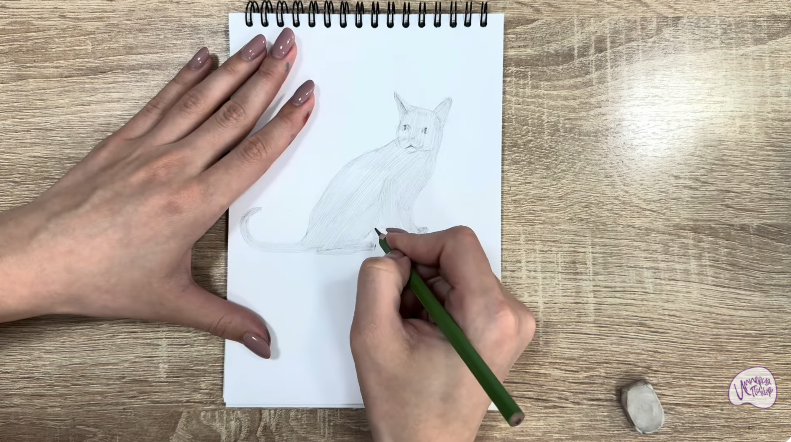 Рисуем Кот породы "Корат"