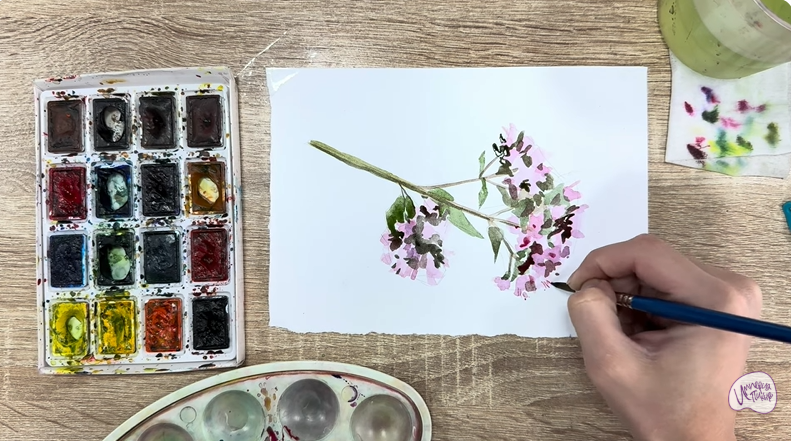 Рисуем Душица