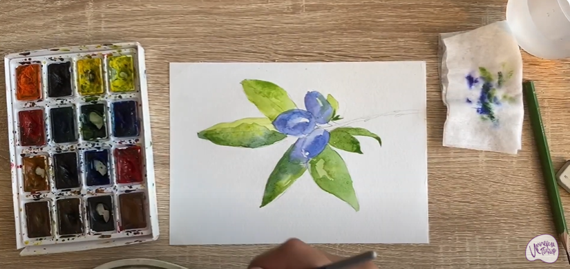 Рисуем Жимолость
