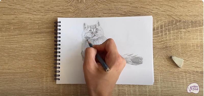Рисуем Богемский рекс