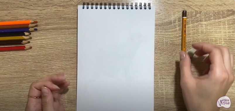 Рисуем Птичка "Зарянка"