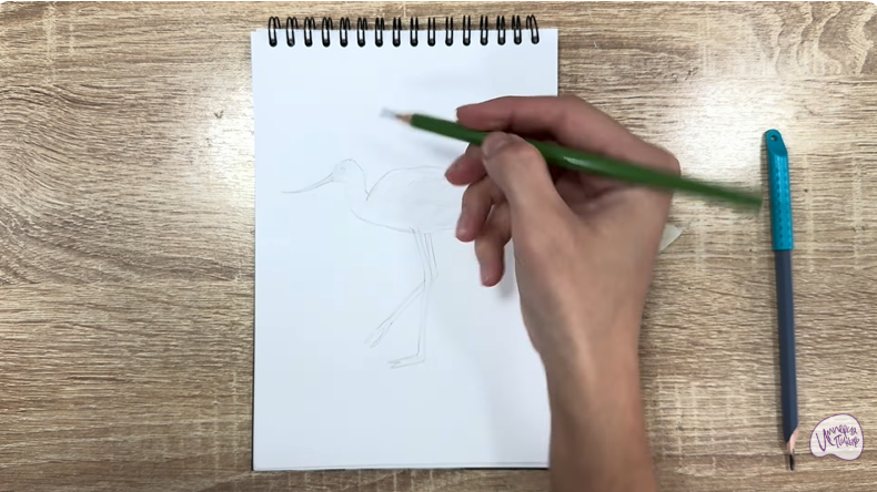 Рисуем Шилоклювка