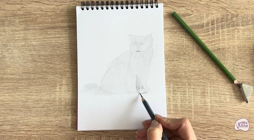 Рисуем Кошка породы Рэгдолл