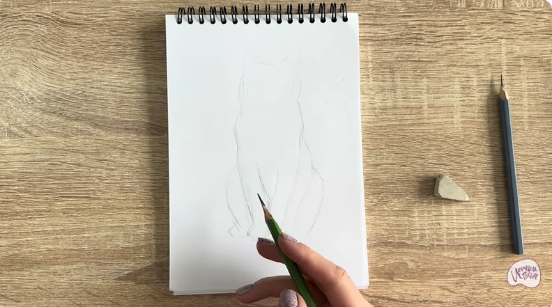 Рисуем Кот породы Шартрез