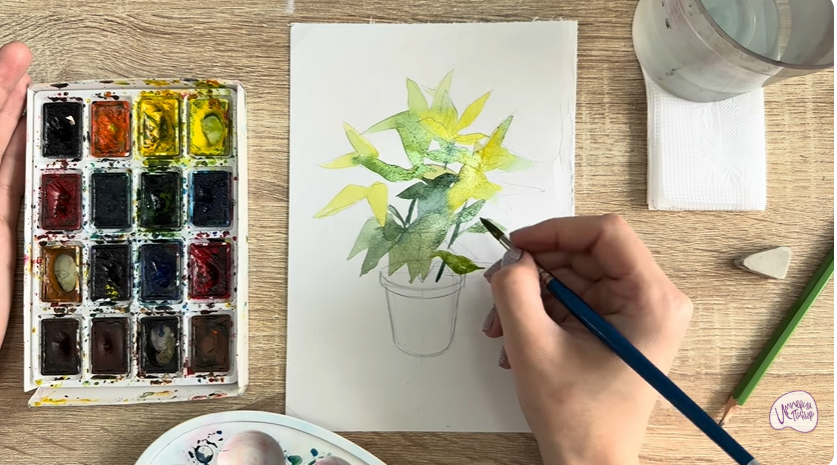Рисуем Аукуба японская