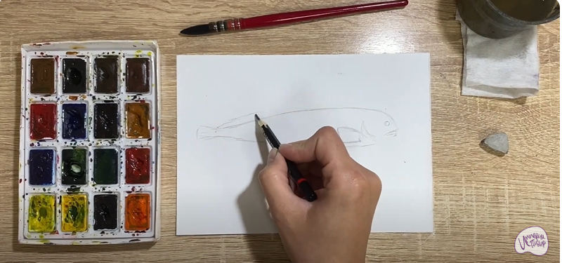 Рисуем Зубатка пёстрая