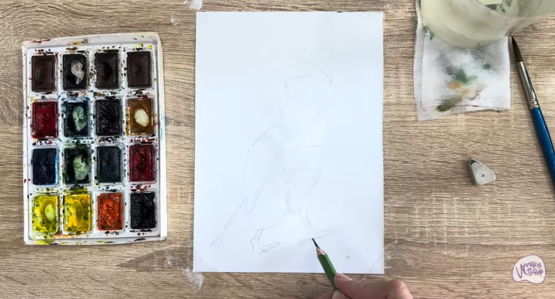 Рисуем Обыкновенная гага