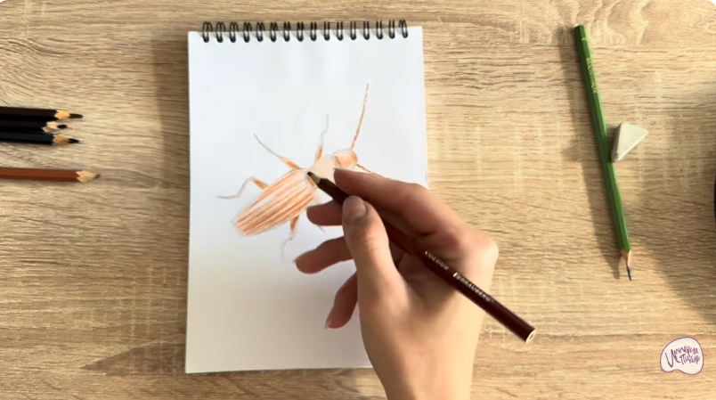 Рисуем Мукоед