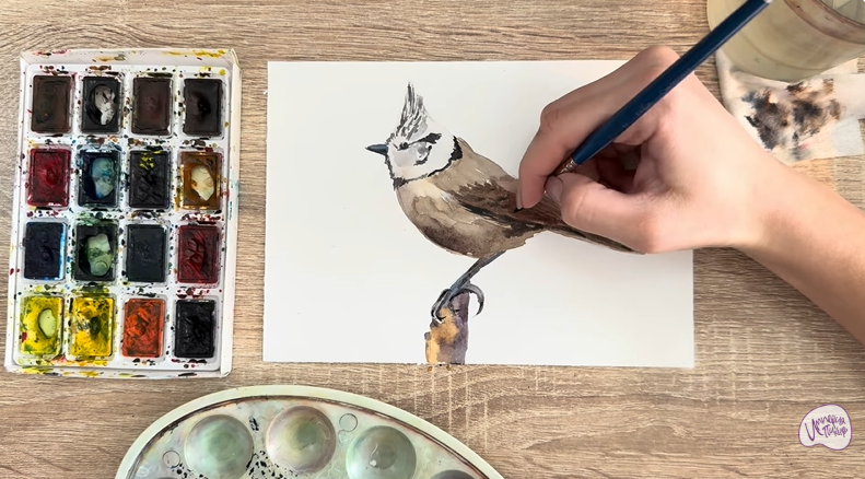 Рисуем Хохлатая синица