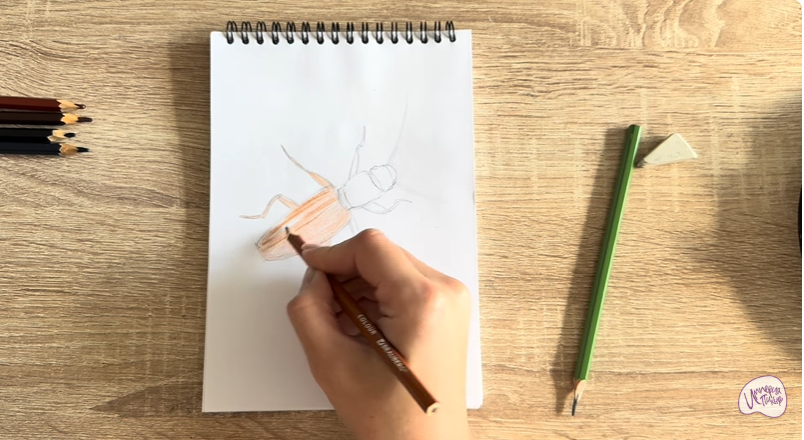 Рисуем Мукоед