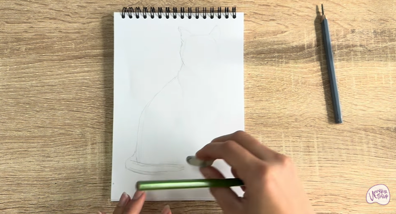 Рисуем Бурманский кот