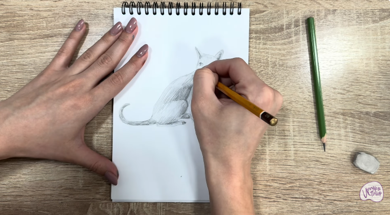 Рисуем Кот породы "Корат"