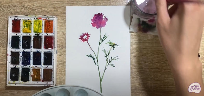 Рисуем Цветок "Скабиоза"