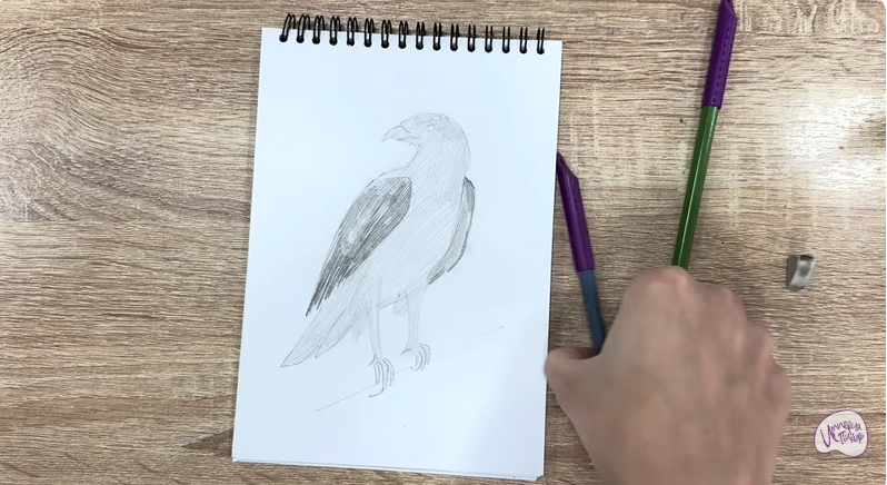 Рисуем Хохлатый осоед