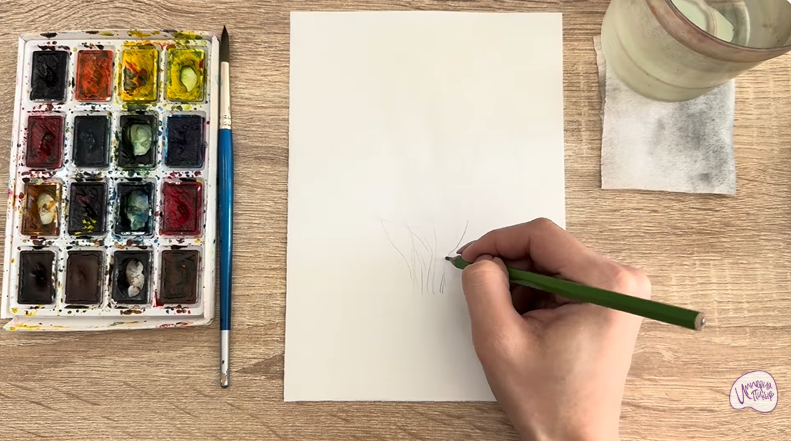 Рисуем Саженец бирючины