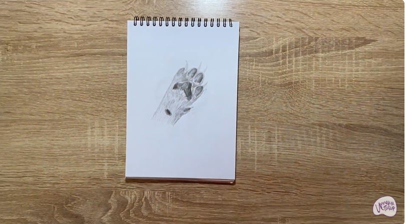 Рисуем Лапа собаки