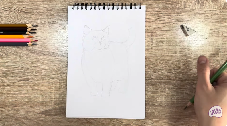 Рисуем Кошка породы "Манчкин"