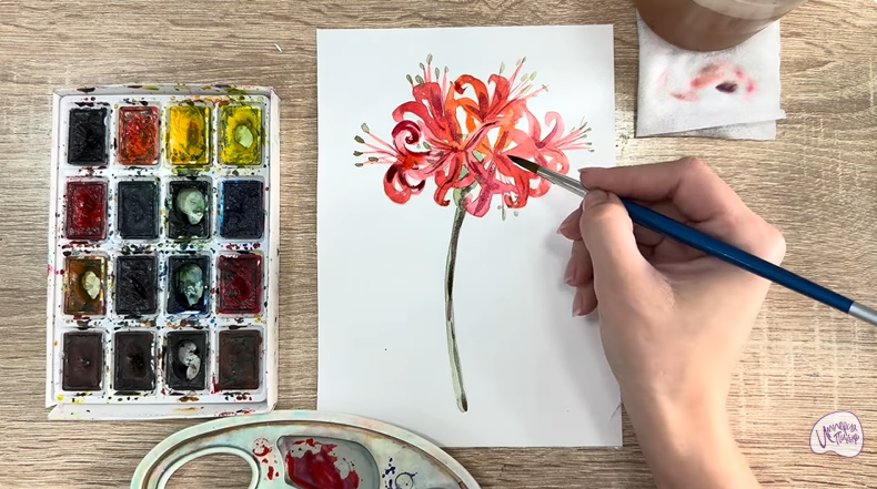 Рисуем Ликорис