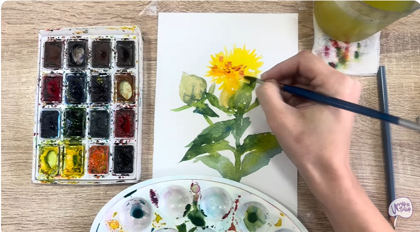 Рисуем Сафлор красильный
