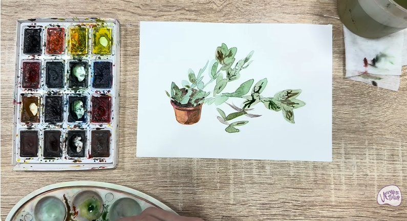 Рисуем Пеллиония в горшке