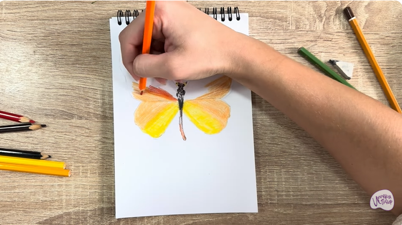 Рисуем Малинница обыкновенная