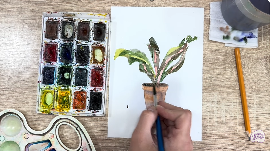 Рисуем Кротон в горшке