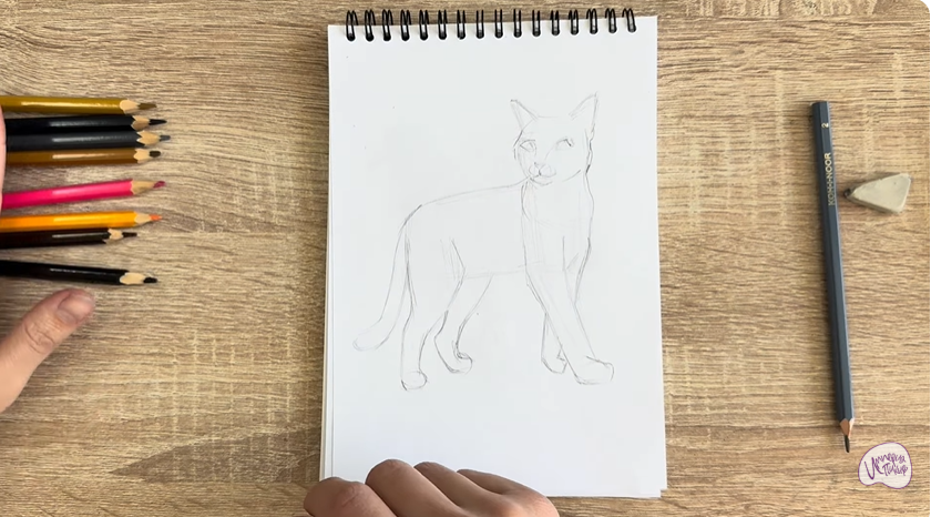 Рисуем Кошка Бурмилла